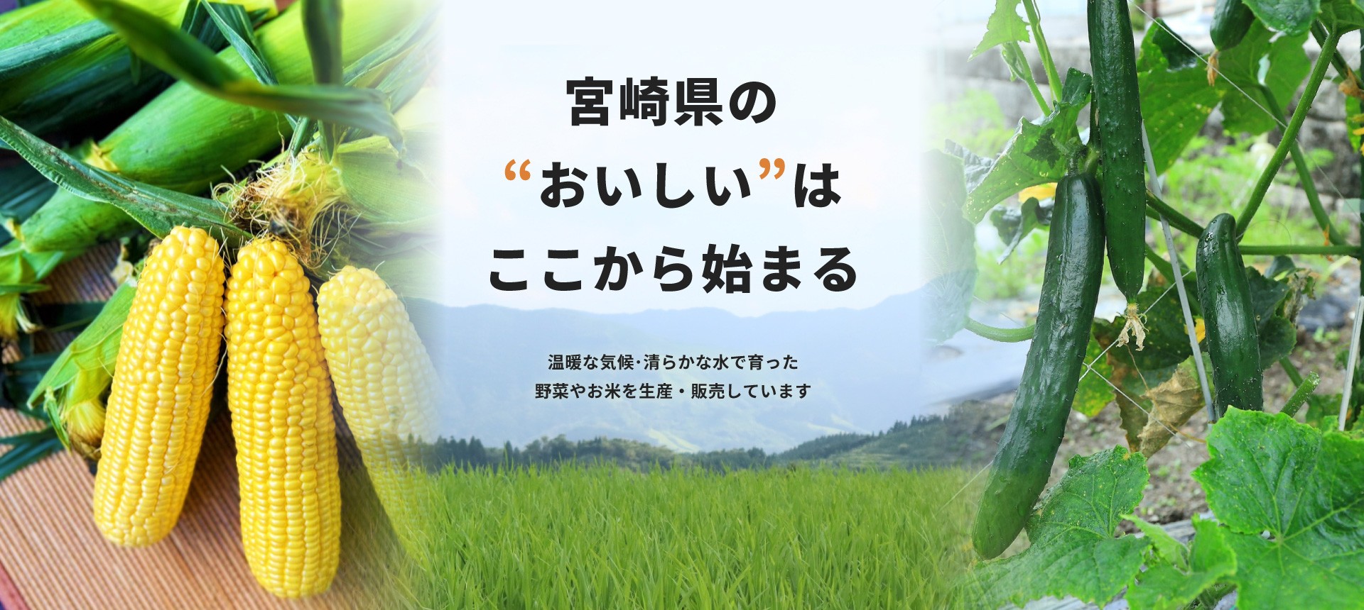 宮城県の“おいしい”はここから始まる